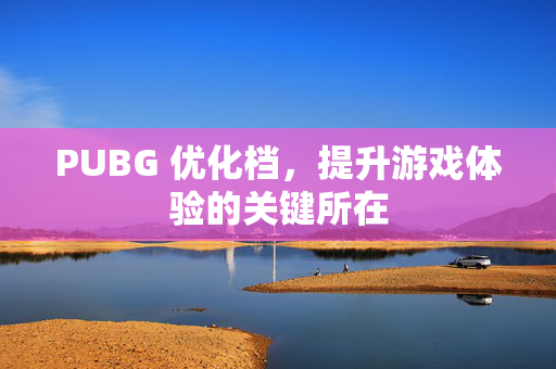 PUBG 优化档，提升游戏体验的关键所在