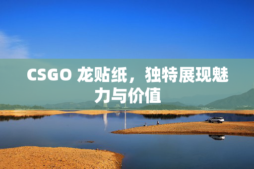 CSGO 龙贴纸，独特展现魅力与价值
