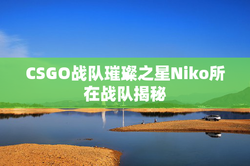 CSGO战队璀璨之星Niko所在战队揭秘