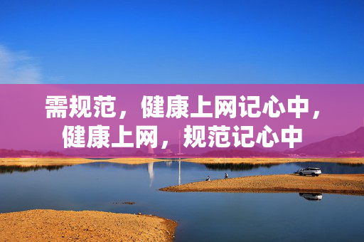 需规范,健康上网记心中,健康上网,规范记心中