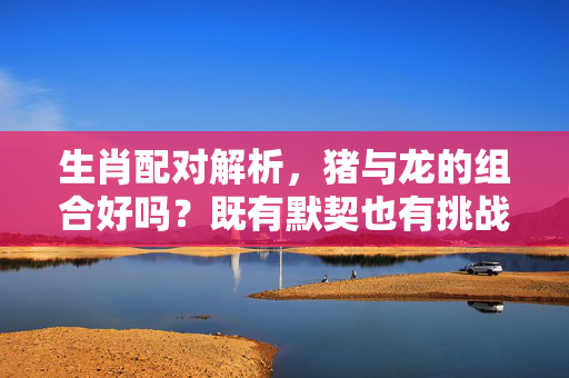生肖配对解析，猪与龙的组合好吗？既有默契也有挑战，猪龙生肖配对，默契与挑战的交织
