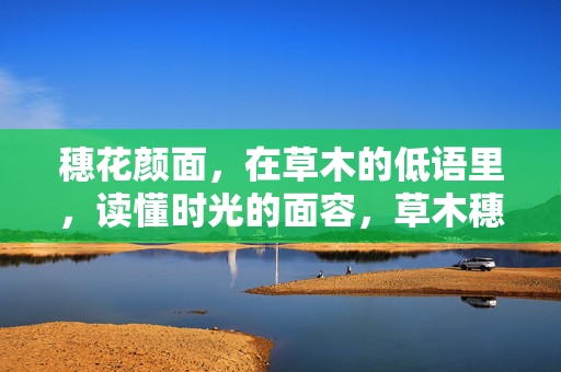 穗花颜面，在草木的低语里，读懂时光的面容，草木穗花，时光低语