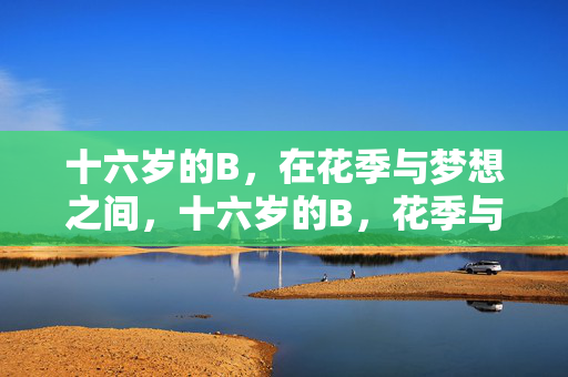 十六岁的B,在花季与梦想之间,十六岁的B,花季与梦想之间