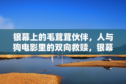 银幕上的毛茸茸伙伴，人与狗电影里的双向救赎，银幕萌宠，人与狗的双向救赎