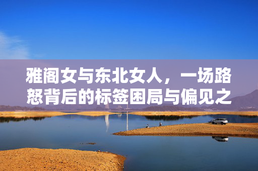 雅阁女与东北女人,一场路怒背后的标签困局与偏见之殇,雅阁女与东北女人,路怒背后的标签困局与偏见之殇