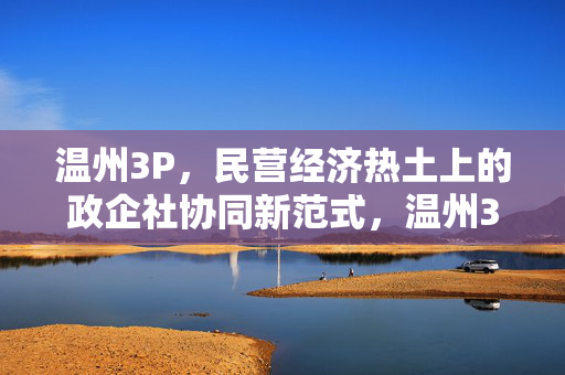 温州3P,民营经济热土上的政企社协同新范式,温州3P,民营经济热土上的政企社协同新范式
