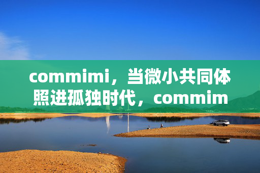 commimi,当微小共同体照进孤独时代,commimi,微小共同体照进孤独时代