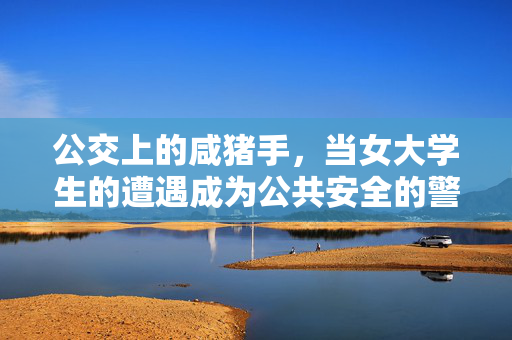 公交上的咸猪手,当女大学生的遭遇成为公共安全的警示,公交咸猪手,女大学生遭遇背后的公共安全警示