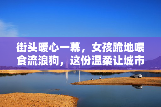 街头暖心一幕,女孩跪地喂食流浪狗,这份温柔让城市有了温度,女孩跪地喂流浪狗,街头暖了城市心