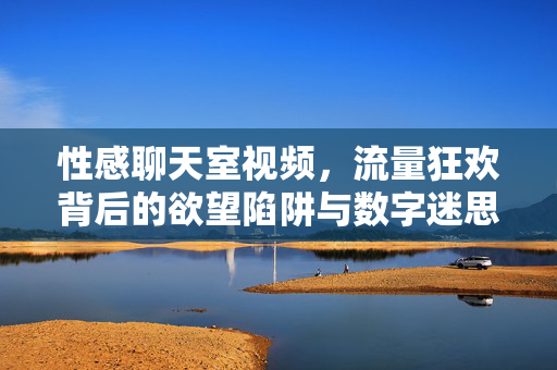 性感聊天室视频,流量狂欢背后的欲望陷阱与数字迷思,性感聊天室视频,流量狂欢的欲望陷阱与数字迷思