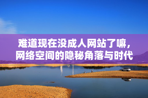 难道现在没成人网站了嘛,网络空间的隐秘角落与时代之问,成人网站,网络隐秘角落的时代之问