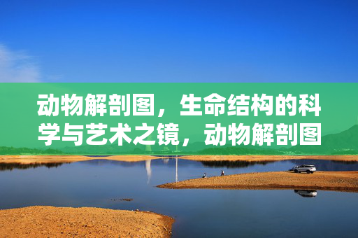 动物解剖图,生命结构的科学与艺术之镜,动物解剖图,生命结构的科学与艺术之镜