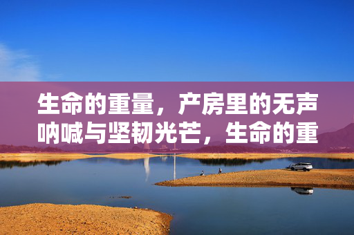 生命的重量,产房里的无声呐喊与坚韧光芒,生命的重量,产房无声呐喊与坚韧光芒