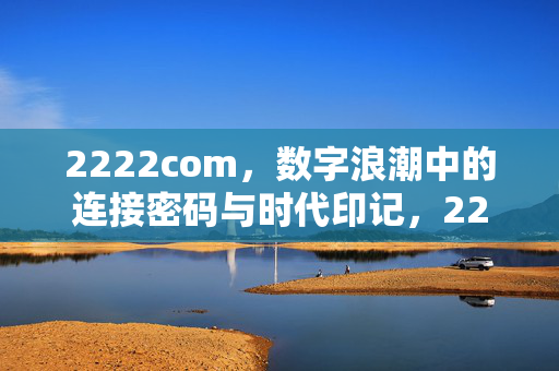 2222com,数字浪潮中的连接密码与时代印记,2222com,数字浪潮的连接密码与时代印记