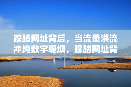 踩踏网址背后,当流量洪流冲垮数字堤坝,踩踏网址背后,流量洪流冲垮数字堤坝