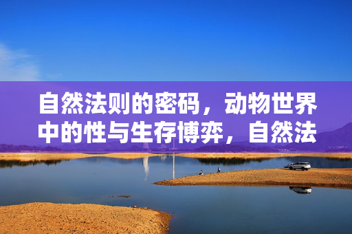 自然法则的密码,动物世界中的性与生存博弈,自然法则密码,动物世界的性与生存博弈