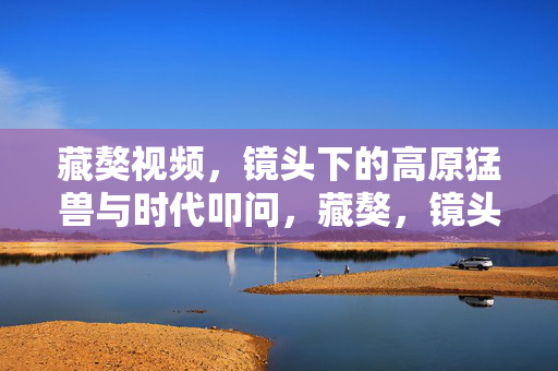 藏獒视频,镜头下的高原猛兽与时代叩问,藏獒,镜头下的高原猛兽与时代叩问