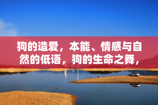 狗的造爱,本能、情感与自然的低语,狗的生命之舞,本能、情感与自然的低语