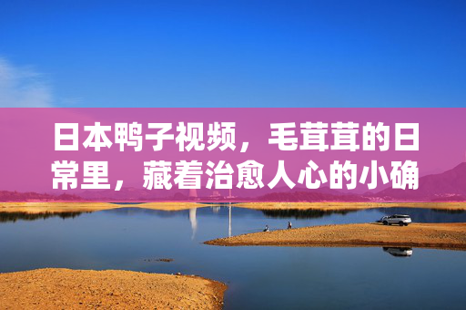 日本鸭子视频,毛茸茸的日常里,藏着治愈人心的小确幸,鸭鸭的毛茸茸日常,治愈人心的小确幸