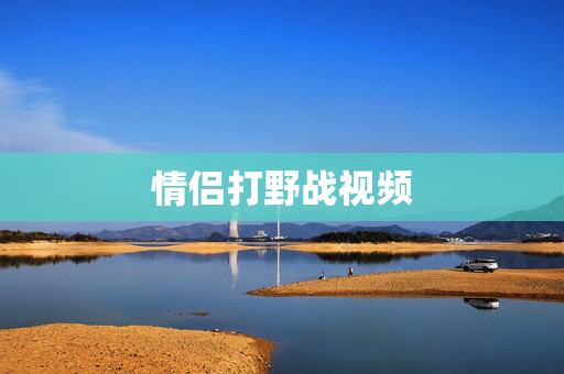 情侣打野战视频