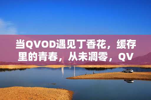 当QVOD遇见丁香花,缓存里的青春,从未凋零,QVOD遇见丁香花,缓存里的青春从未凋零