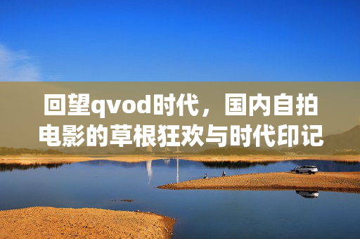 回望qvod时代,国内自拍电影的草根狂欢与时代印记,qvod时代的草根自拍电影,狂欢与时代印记