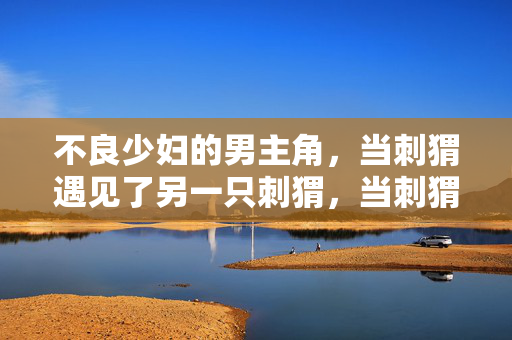 不良少妇的男主角,当刺猬遇见了另一只刺猬,当刺猬遇见刺猬,不良少妇的男主角