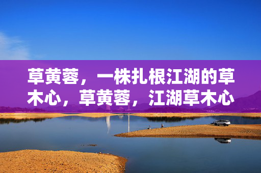 草黄蓉,一株扎根江湖的草木心,草黄蓉,江湖草木心