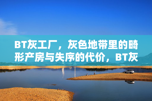 BT灰工厂,灰色地带里的畸形产房与失序的代价,BT灰工厂,灰色地带的畸形产房与失序代价