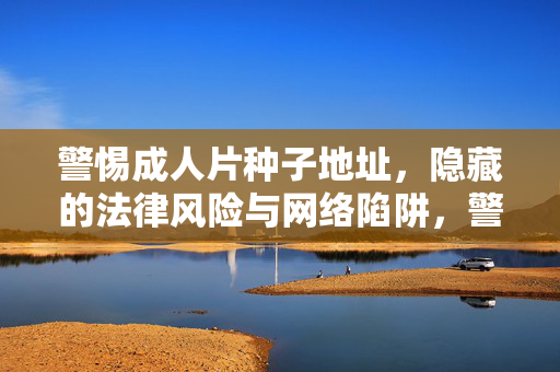 警惕成人片种子地址,隐藏的法律风险与网络陷阱,警惕成人片种子地址,隐藏的法律风险与网络陷阱