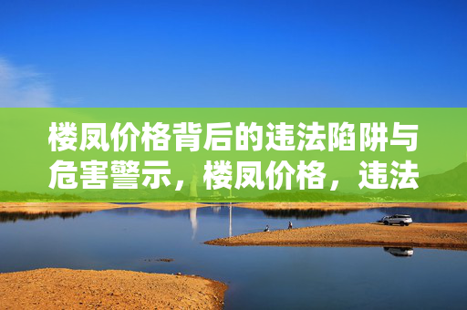 楼凤价格背后的违法陷阱与危害警示,楼凤价格,违法陷阱与危害警示
