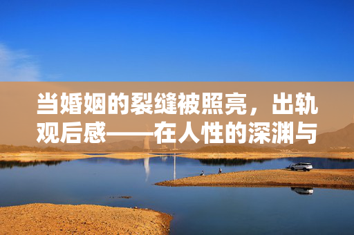 当婚姻的裂缝被照亮,出轨观后感——在人性的深渊与救赎中看见自己,婚姻裂缝照亮时,出轨背后的人性深渊与自我救赎