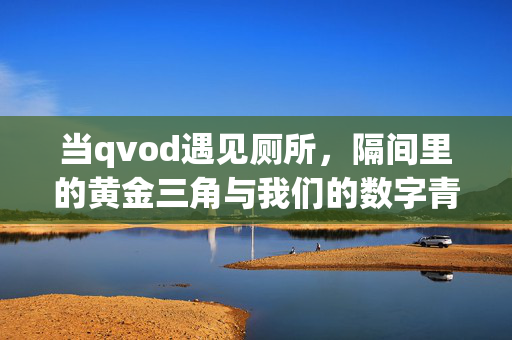 当qvod遇见厕所,隔间里的黄金三角与我们的数字青春,qvod遇见厕所隔间,数字青春的黄金三角