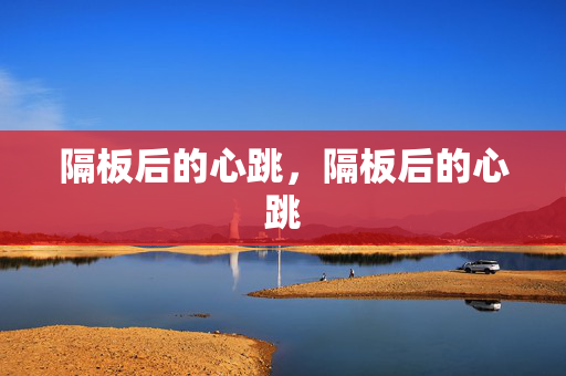 隔板后的心跳,隔板后的心跳