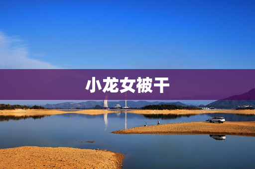 小龙女被干