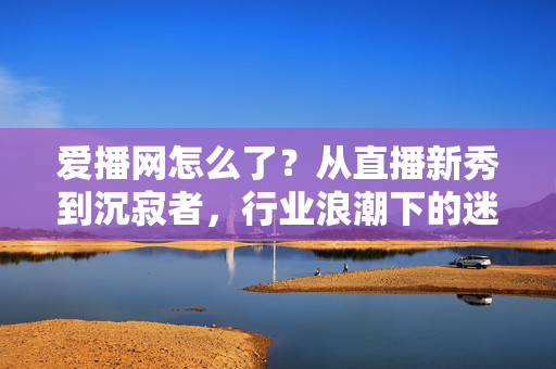 爱播网怎么了?从直播新秀到沉寂者,行业浪潮下的迷失与突围,爱播网,从直播新秀到沉寂者,行业浪潮下的迷失与突围