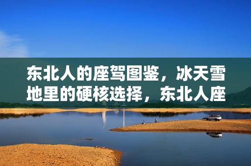 东北人的座驾图鉴,冰天雪地里的硬核选择,东北人座驾图鉴,冰天雪地里的硬核选择