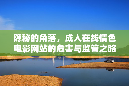 隐秘的角落,成人在线情色电影网站的危害与监管之路,隐秘的角落,成人在线情色网站的危害与监管