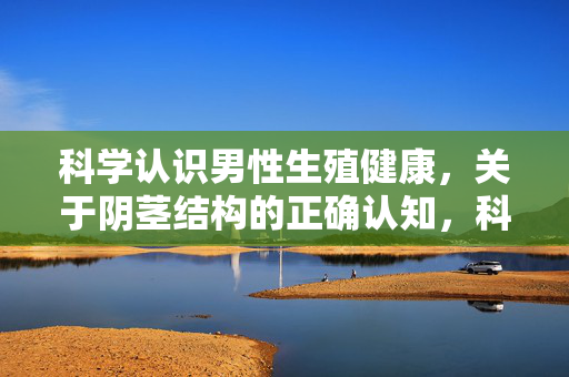 科学认识男性生殖健康,关于阴茎结构的正确认知,科学认识男性生殖健康,阴茎结构的正确认知
