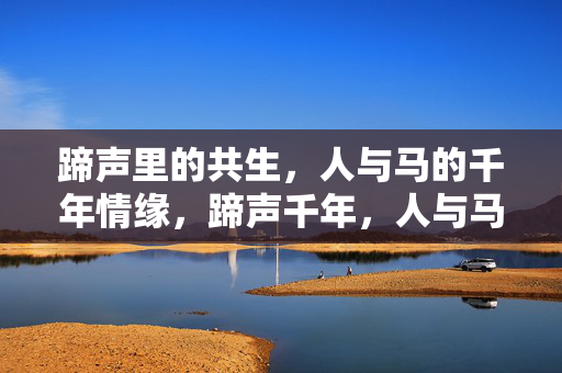 蹄声里的共生,人与马的千年情缘,蹄声千年,人与马的共生情缘