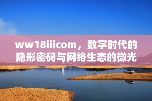 ww18iiicom,数字时代的隐形密码与网络生态的微光,ww18iiicom,数字时代的隐形密码与网络生态微光