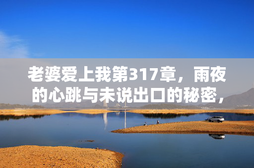 老婆爱上我第317章,雨夜的心跳与未说出口的秘密,雨夜心跳,那个未说出口的秘密