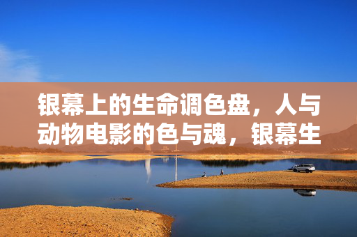 银幕上的生命调色盘,人与动物电影的色与魂,银幕生命调色盘,人与动物电影的色魂