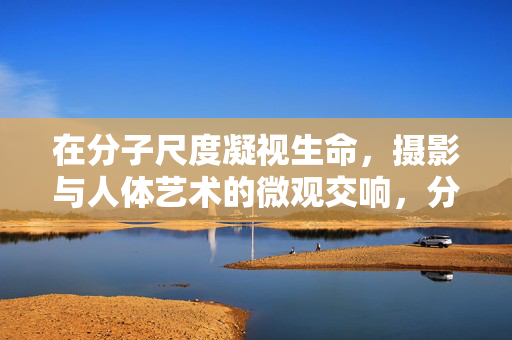 在分子尺度凝视生命,摄影与人体艺术的微观交响,分子凝视,生命与摄影人体艺术的微观交响