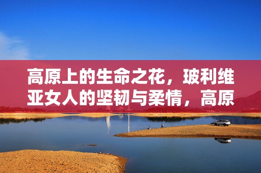 高原上的生命之花,玻利维亚女人的坚韧与柔情,高原生命之花,玻利维亚女人的坚韧与柔情