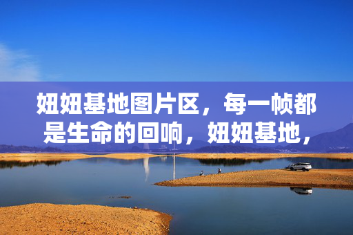 妞妞基地图片区,每一帧都是生命的回响,妞妞基地,图片帧帧,生命回响