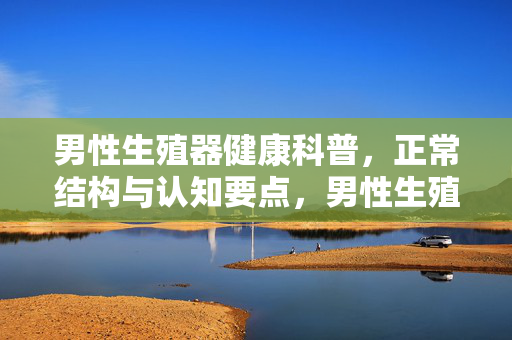 男性生殖器健康科普,正常结构与认知要点,男性生殖器健康科普,正常结构与认知要点