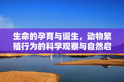 生命的孕育与诞生,动物繁殖行为的科学观察与自然启示,动物繁殖行为的科学观察,生命孕育与诞生的自然启示