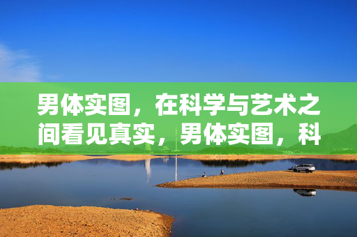 男体实图,在科学与艺术之间看见真实,男体实图,科学与艺术交织的真实图景