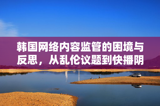 韩国网络内容监管的困境与反思，从乱伦议题到快播阴影，监管困境与反思，从乱伦议题到快播阴影